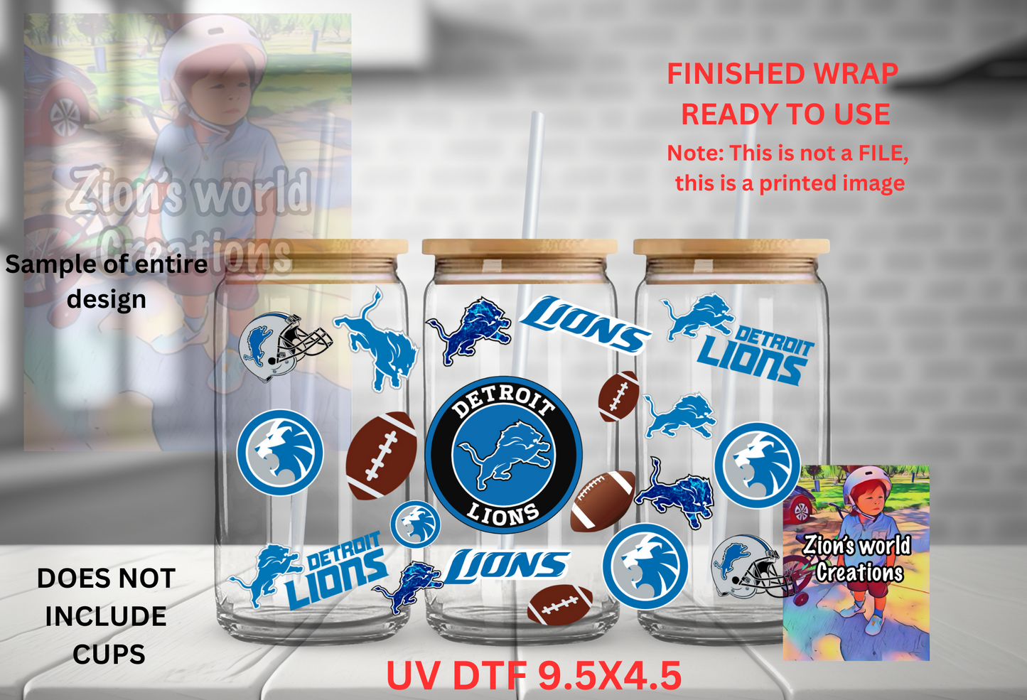 DETROIT LIONS