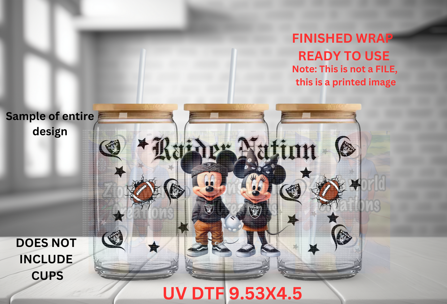 Mickey and Minnie RAIDERS