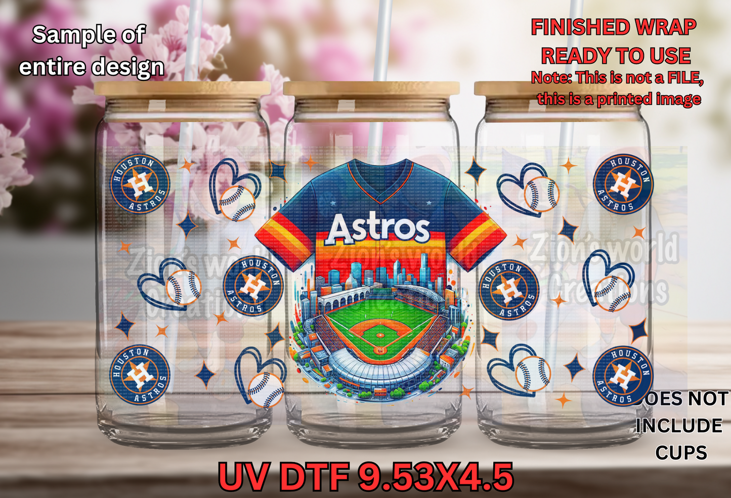 HOUSTON ASTROS