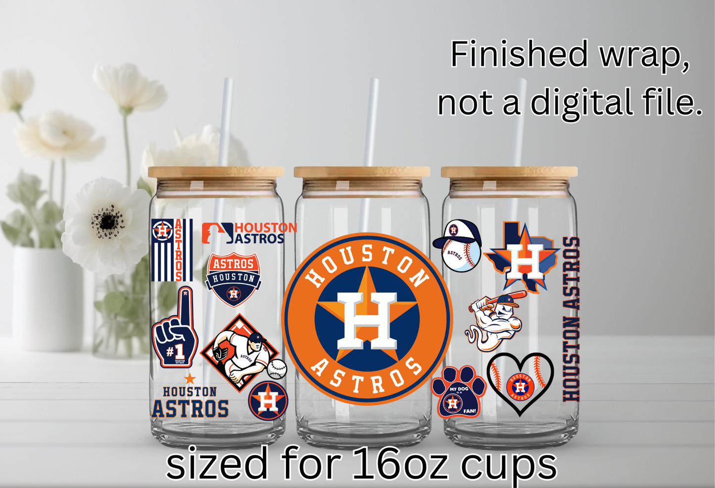 HOUSTON ASTROS24