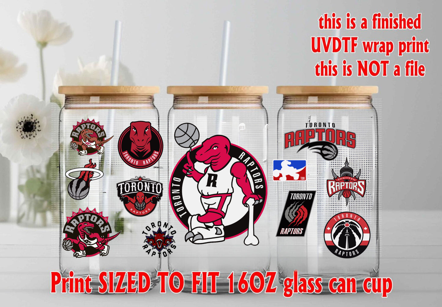 TORONTO RAPTORS
