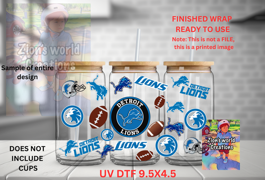 DETROIT LIONS