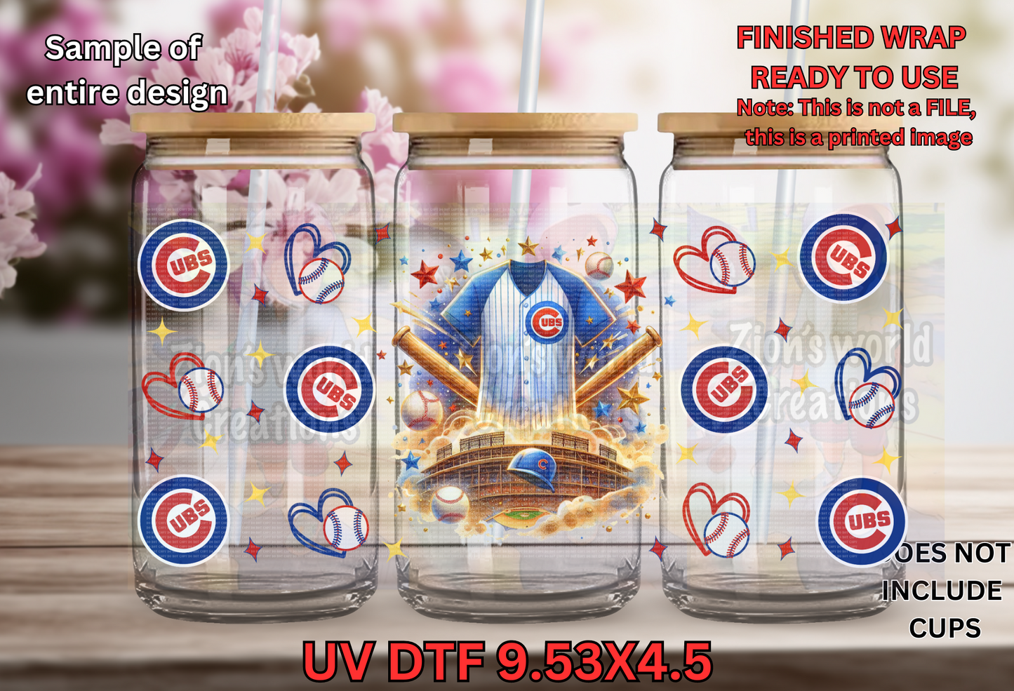 CHICAGO CUBS DREAM (EXCLUSIVE)